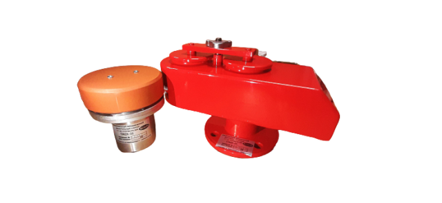 20210211_152327-removebg-preview