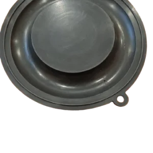 Ushilnennya 2'' (membrana) odnohodovogo klapana